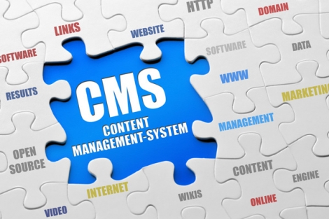 Powerful self-managed websites(CMS)